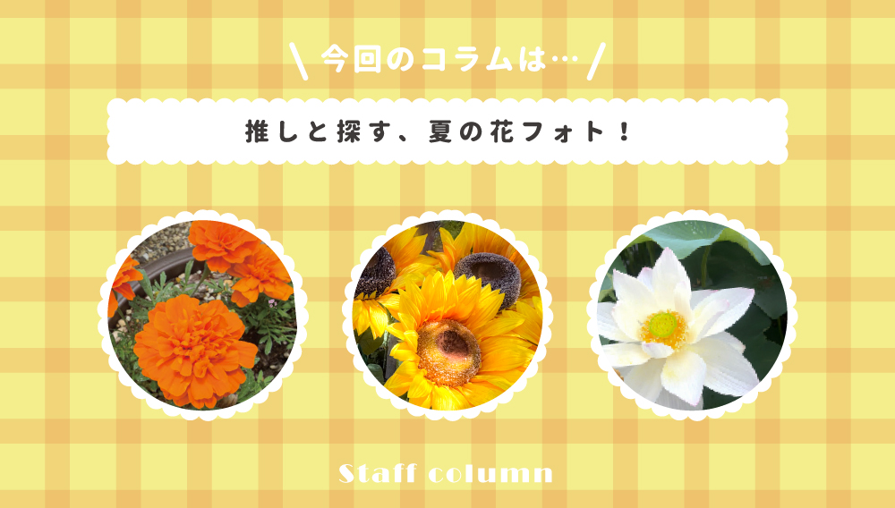 【スタッフコラム】推しと探す、夏の花フォト